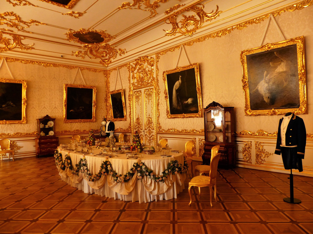 Tsarskoye Selo Palace Board景点图片