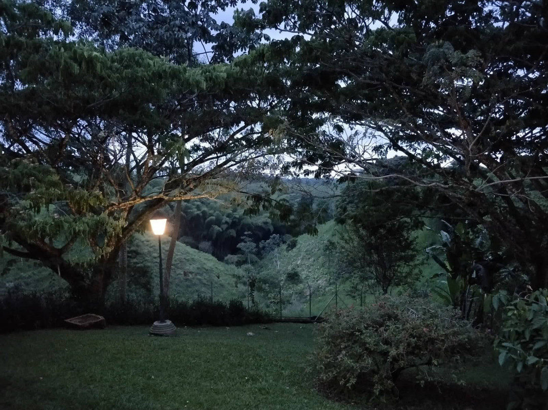 Decameron Las Heliconias主图