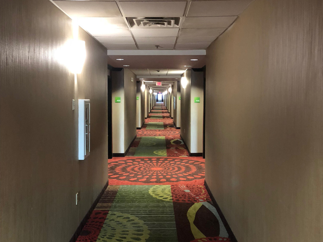 Holiday Inn Arlington Ne-rangers Ballpark By IHG主图