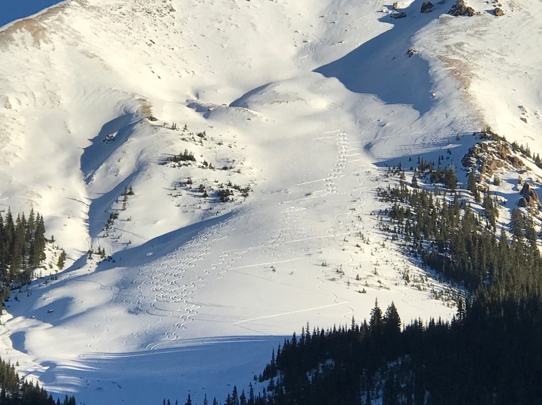 Red Mountain Alpine Lodge