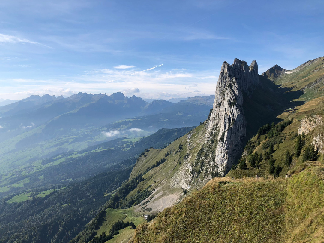 Gasthaus Alpenrose主图