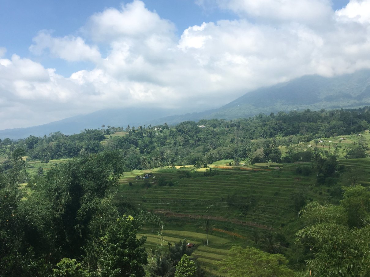 波多克优曼贝都加尔酒店-浴室