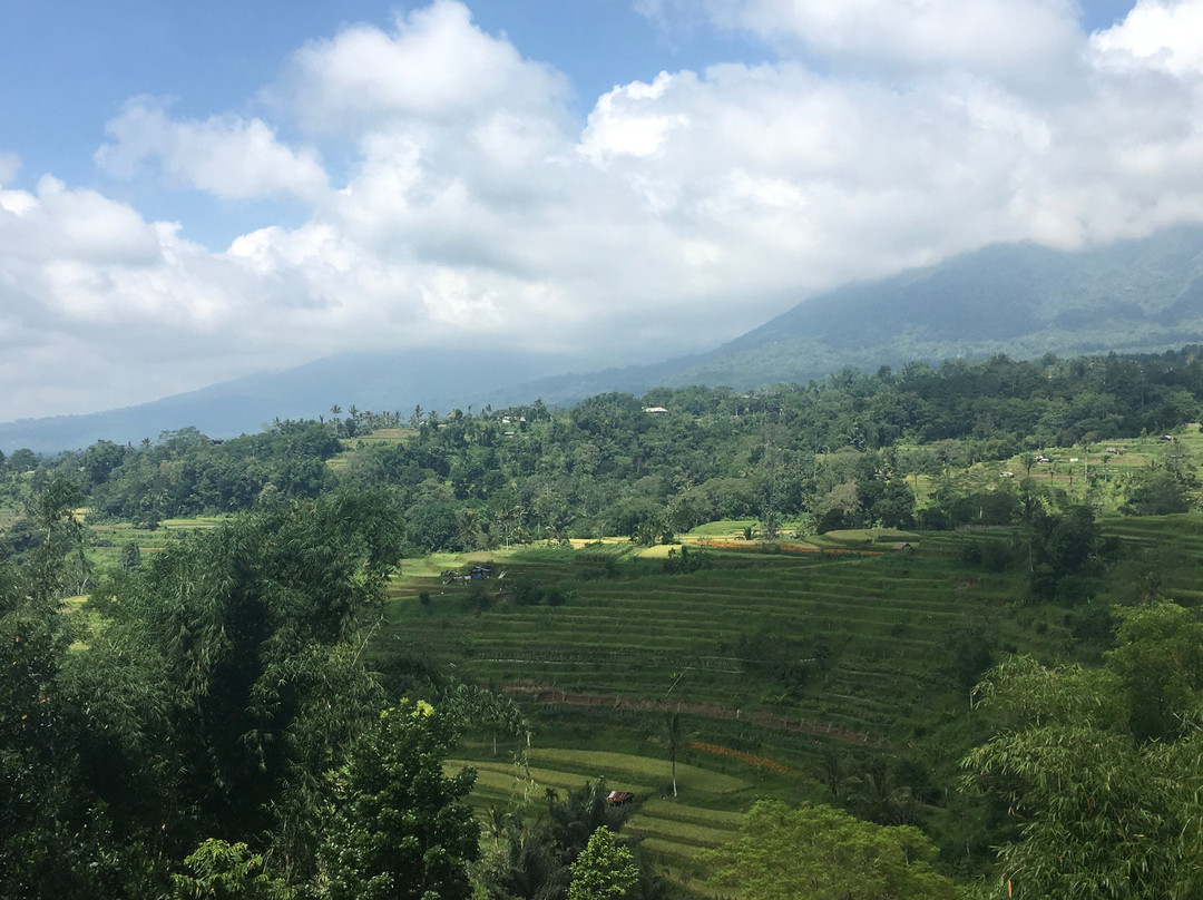 波多克优曼贝都加尔酒店主图