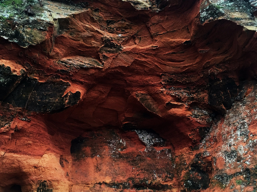 Sarkanās Cliffs and Springs景点图片