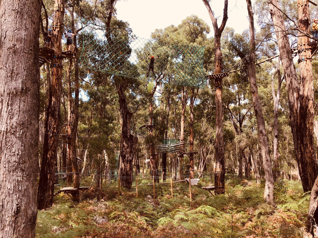Treetops Adventure Yeodene-Yeodene必去景点