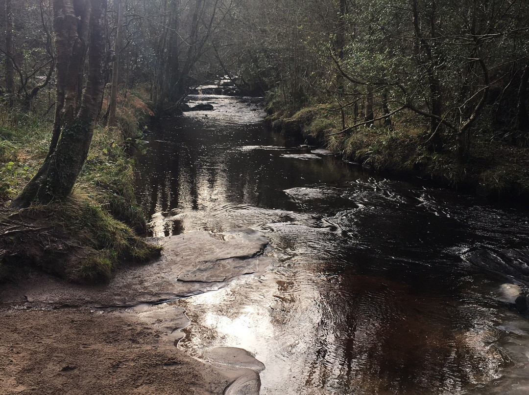 Slieve Bloom Mountains景点图片