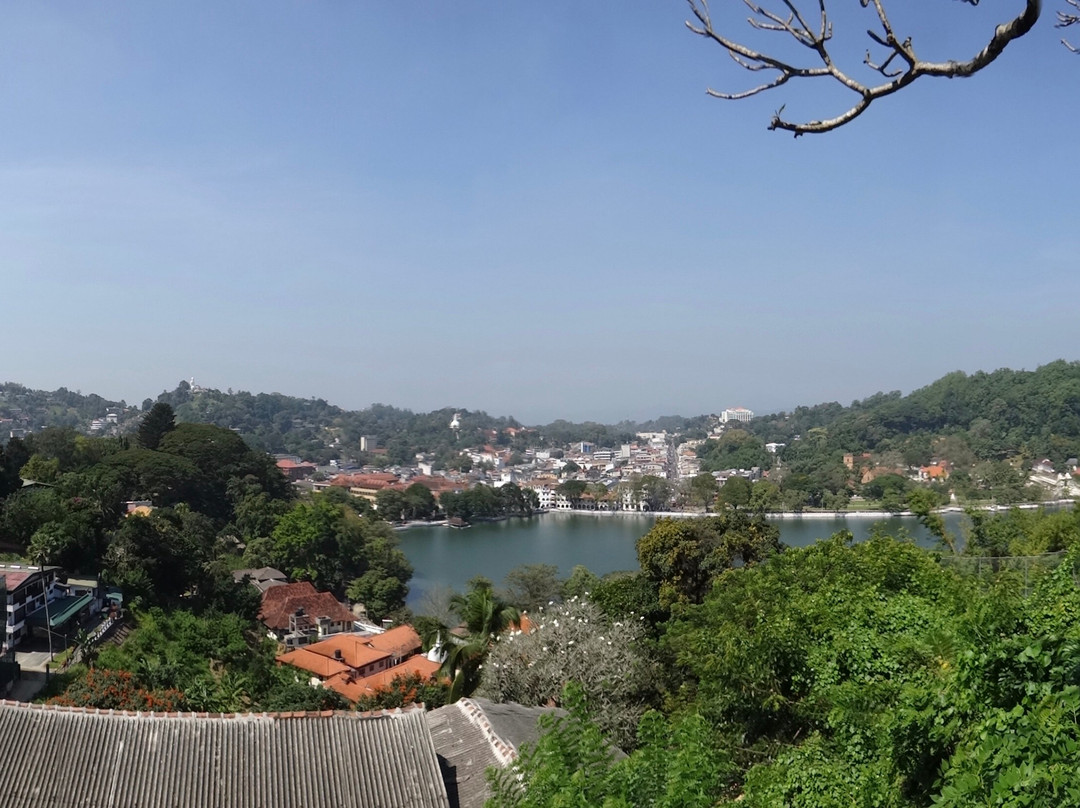 Pure Nature Hotel Kandy主图