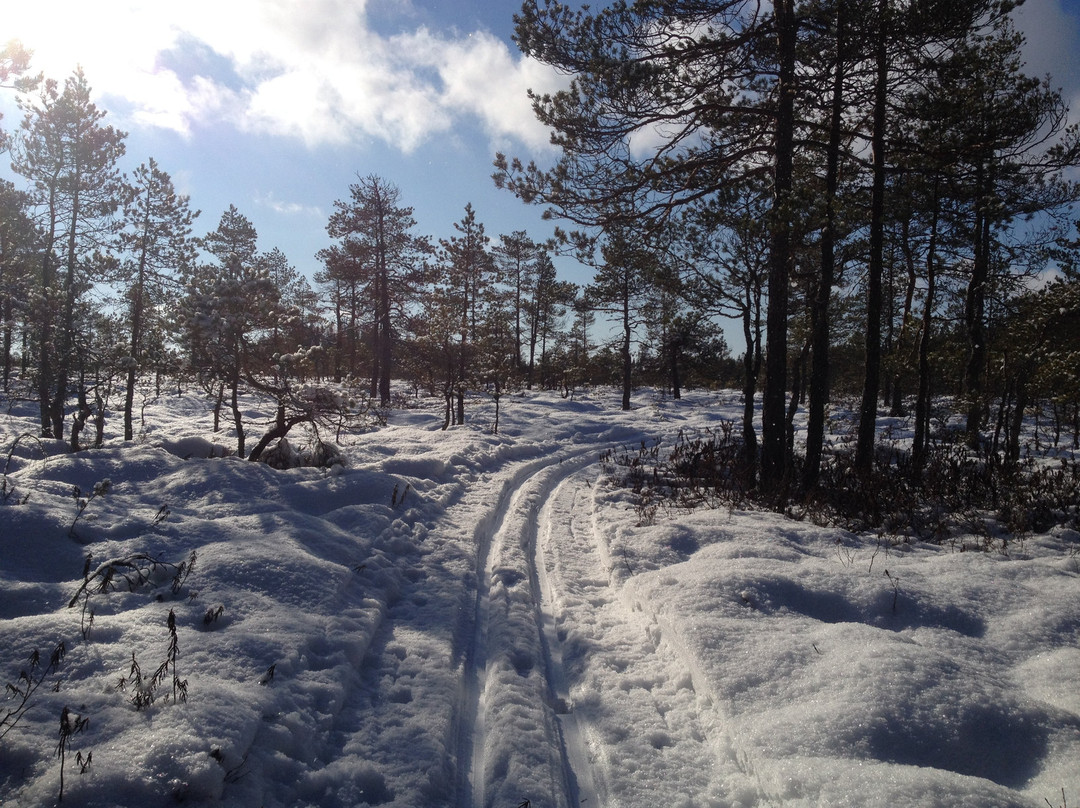 Kurjenrahka National Park-Poytya必去景点