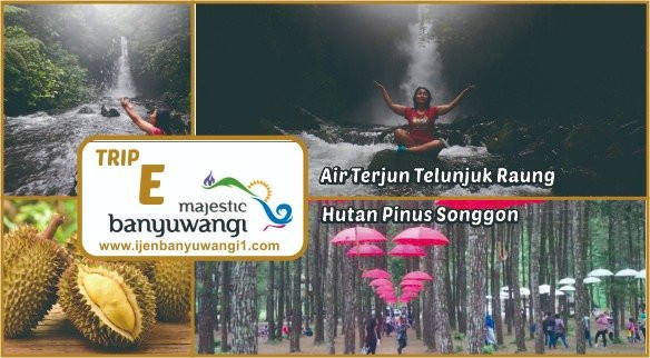 Telunjuk Dewa Raung Waterfall-巴纽旺宣必去景点