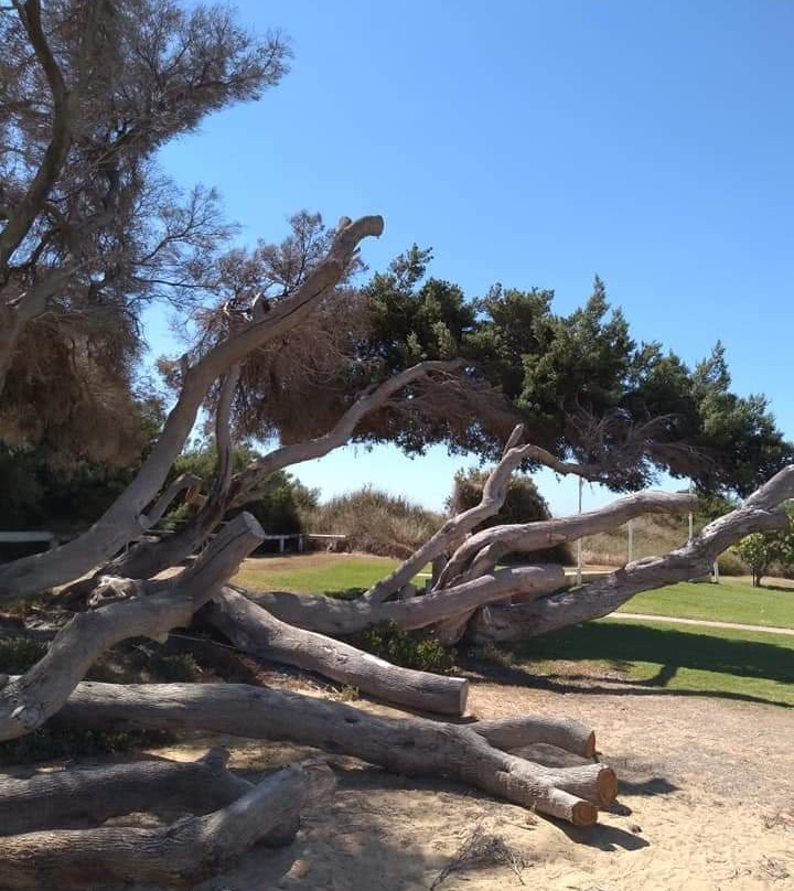 Back Beach-兰斯林必去景点