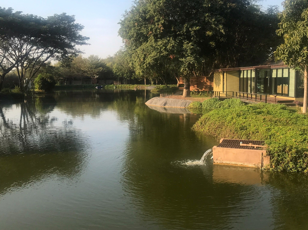 许愿树度假村主图