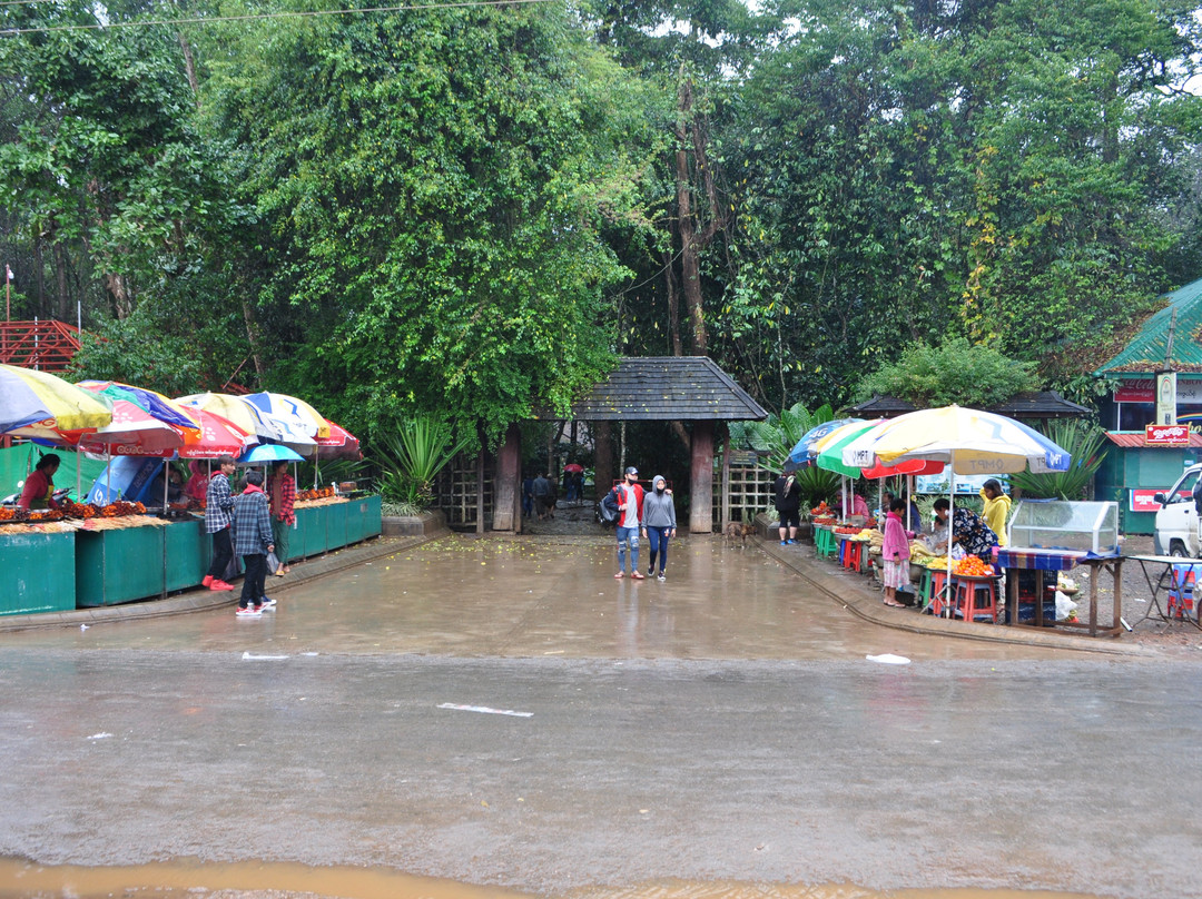 National Kandawgyi Botanical Gardens景点图片