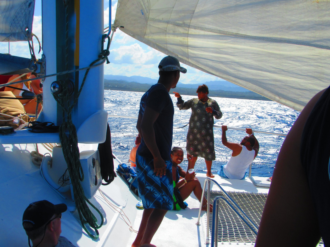Freestyle Catamaran Tour景点图片