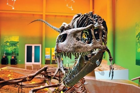 Museo del Desierto Chihuahuense-Delicias必去景点