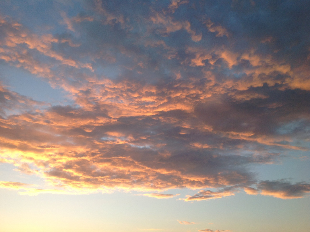 Unluselek Hotel主图