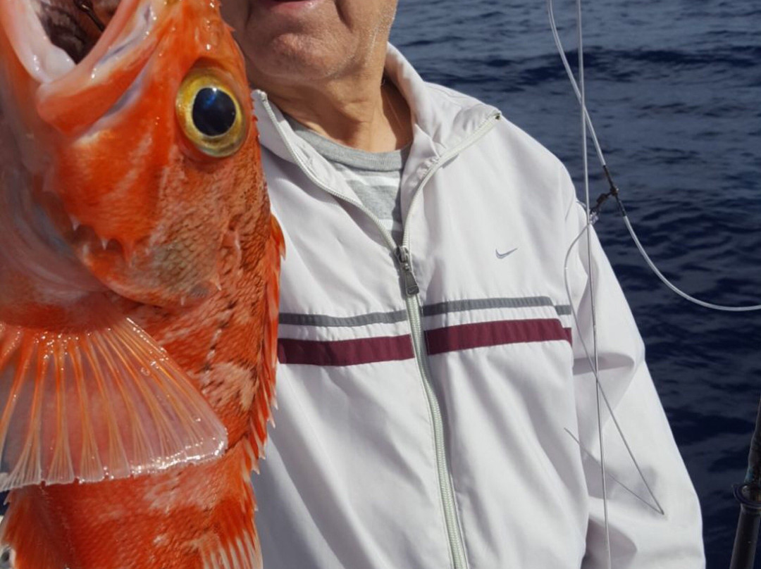 Tenerife Boats-奥德杰海岸必去景点