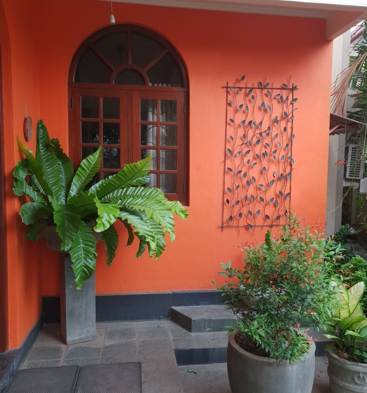 Breeze of Paradise Elite主图