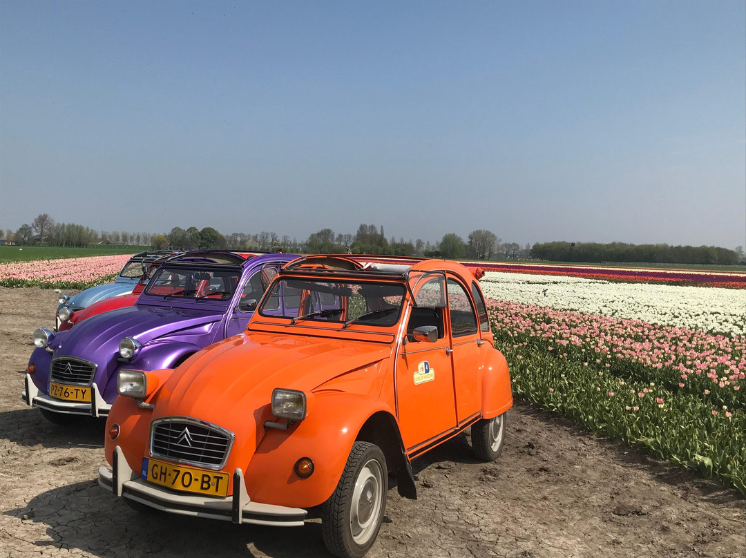 I love Noord-Holland-Purmerend必去景点
