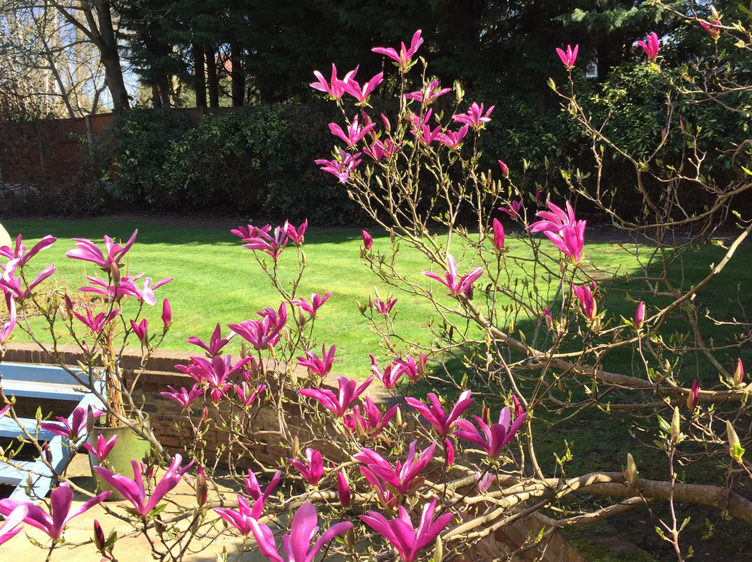 Riseden Bed & Breakfast主图