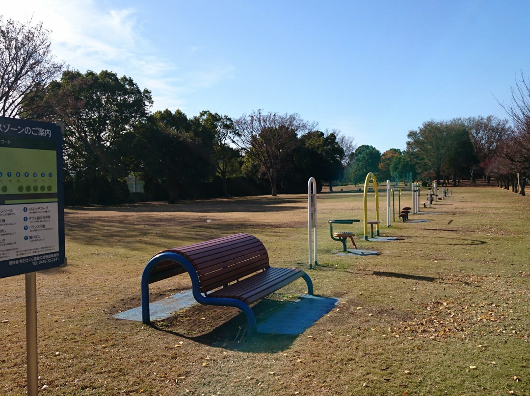 Kumagaya Sakura Sports Park-熊谷市必去景点