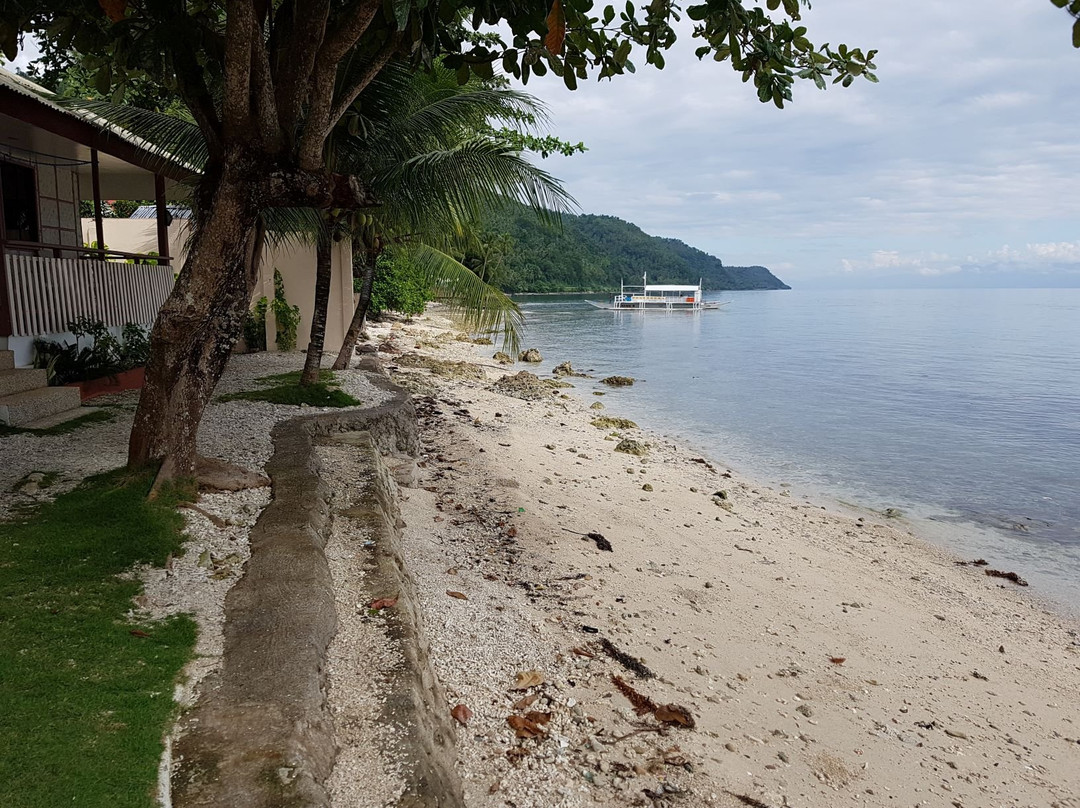 彼得潜水度假村主图