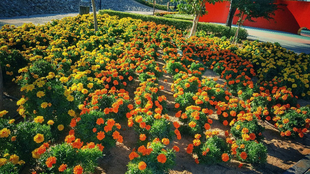 Wadi Hatta Park-赫达必去景点