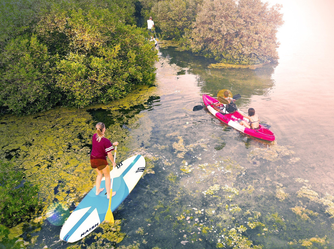 UAQ Mangrove Tours-乌姆盖万必去景点