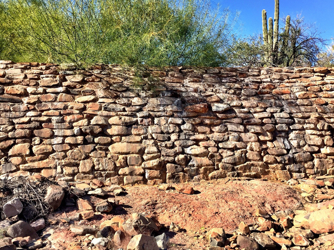 Fountain Hills Botanical Garden-Fountain Hills必去景点