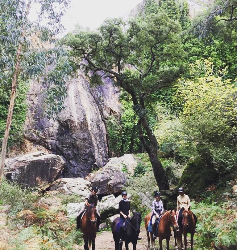 NaturaHorses-Vila Nova de Milfontes必去景点