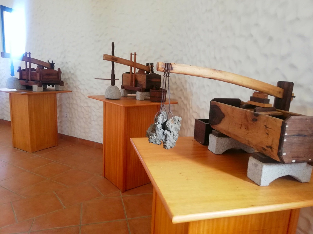 Museu do Cardina-Porto Santo Island必去景点