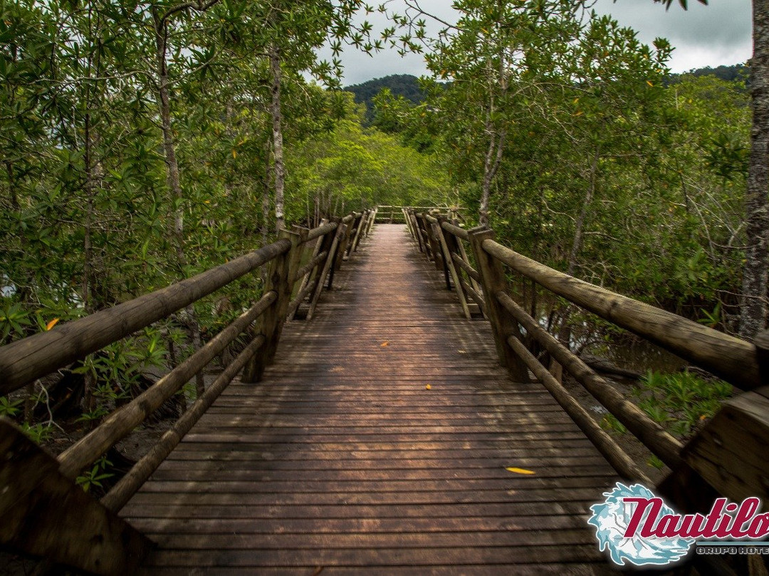 Hotel Nautilos Guachalito Nuqui主图