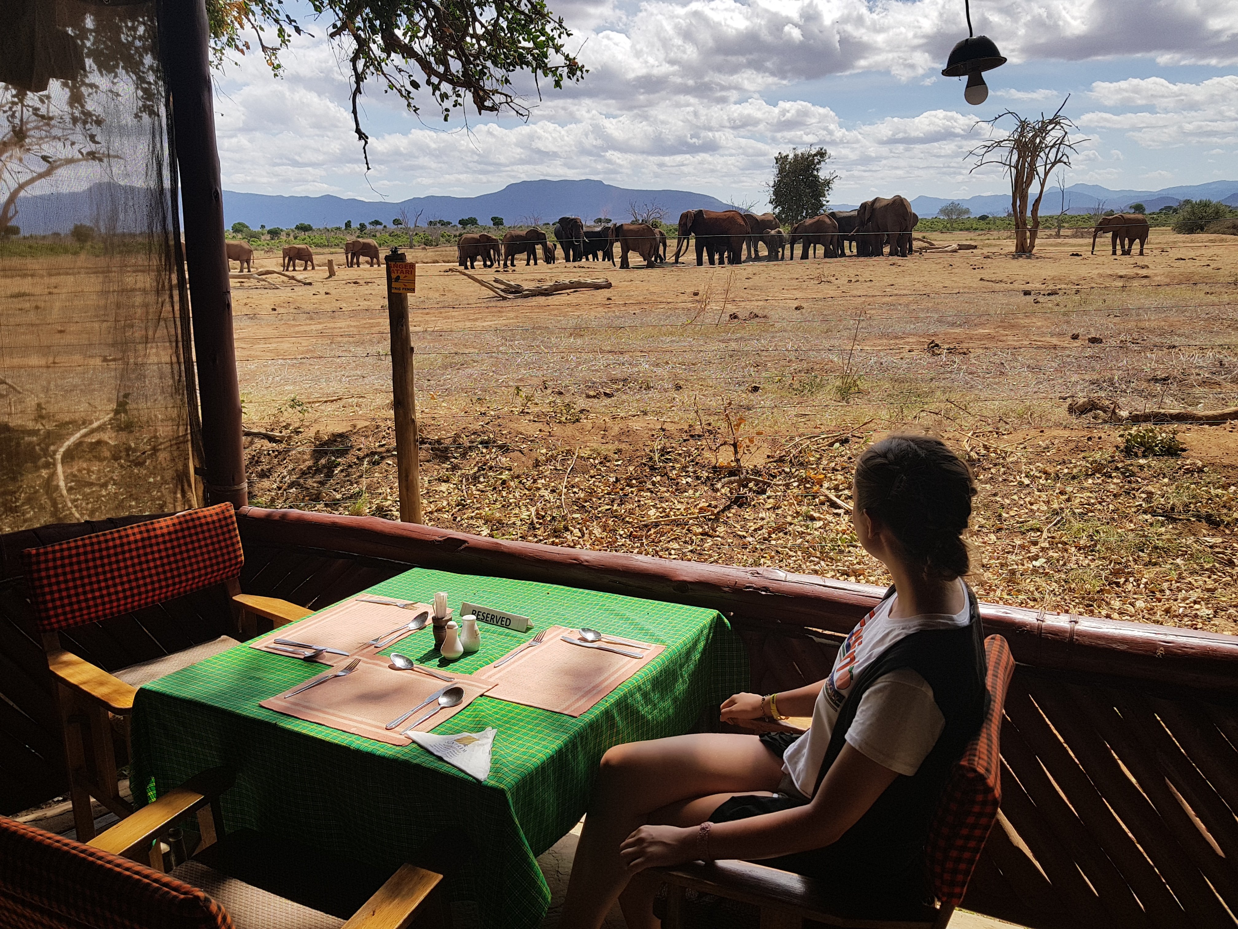 Sentrim Tsavo Lodge-餐饮