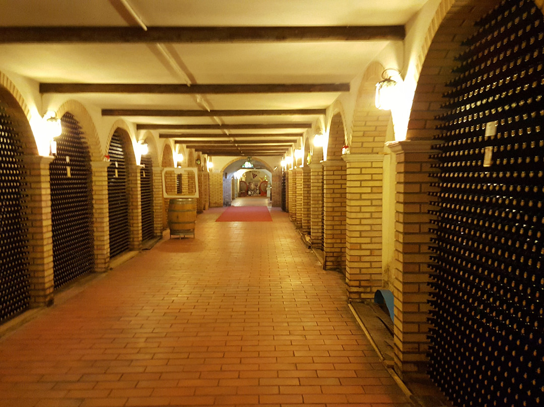 Cantine Bosco Nestore景点图片