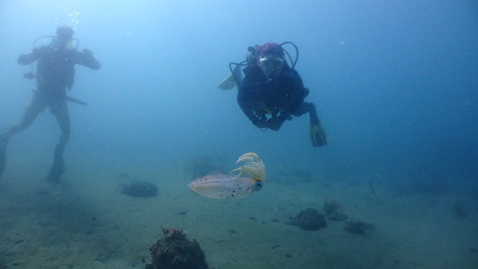 Poseidon Dive Center景点图片