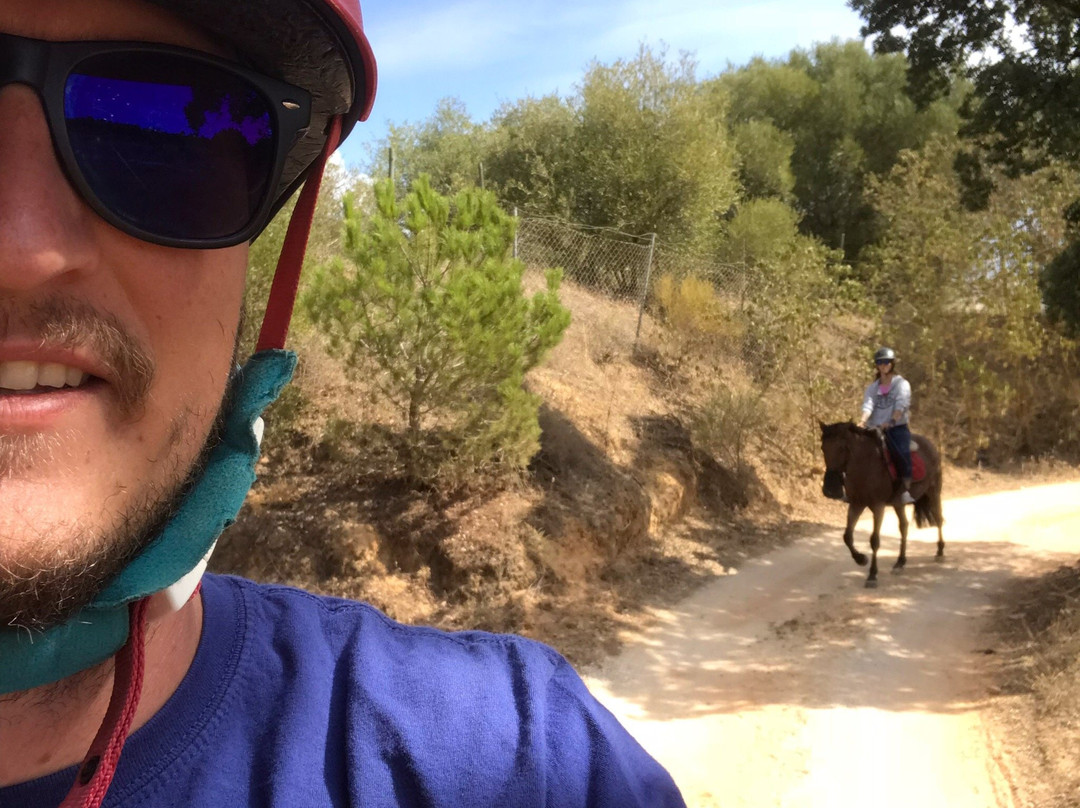 Albufeira Riding Centre景点图片