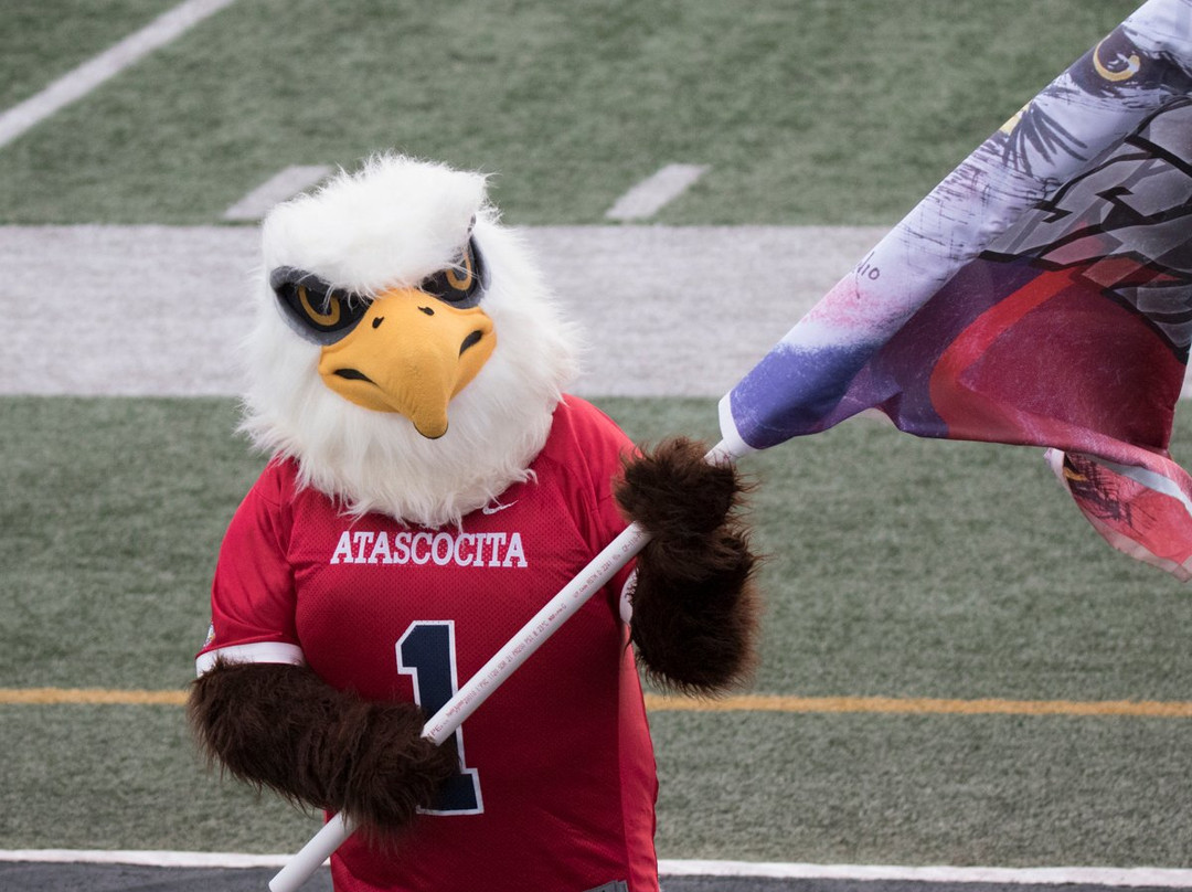 George Turner Stadium-汉布尔必去景点