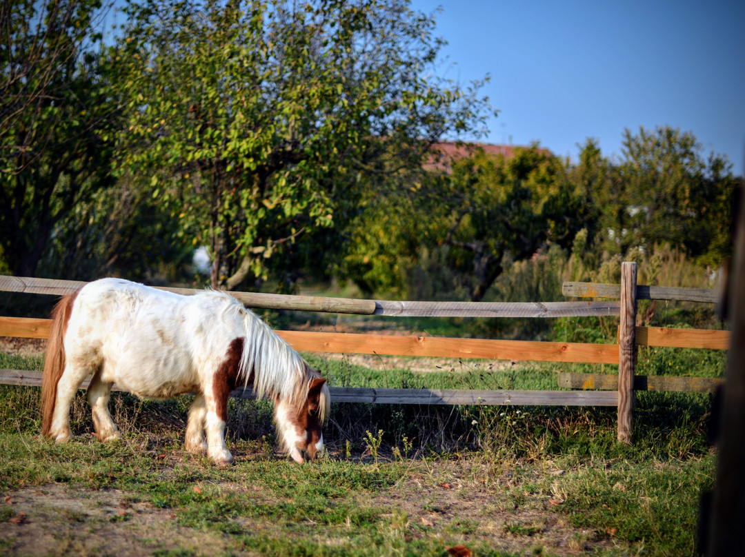 Asintrekking-阿斯蒂必去景点