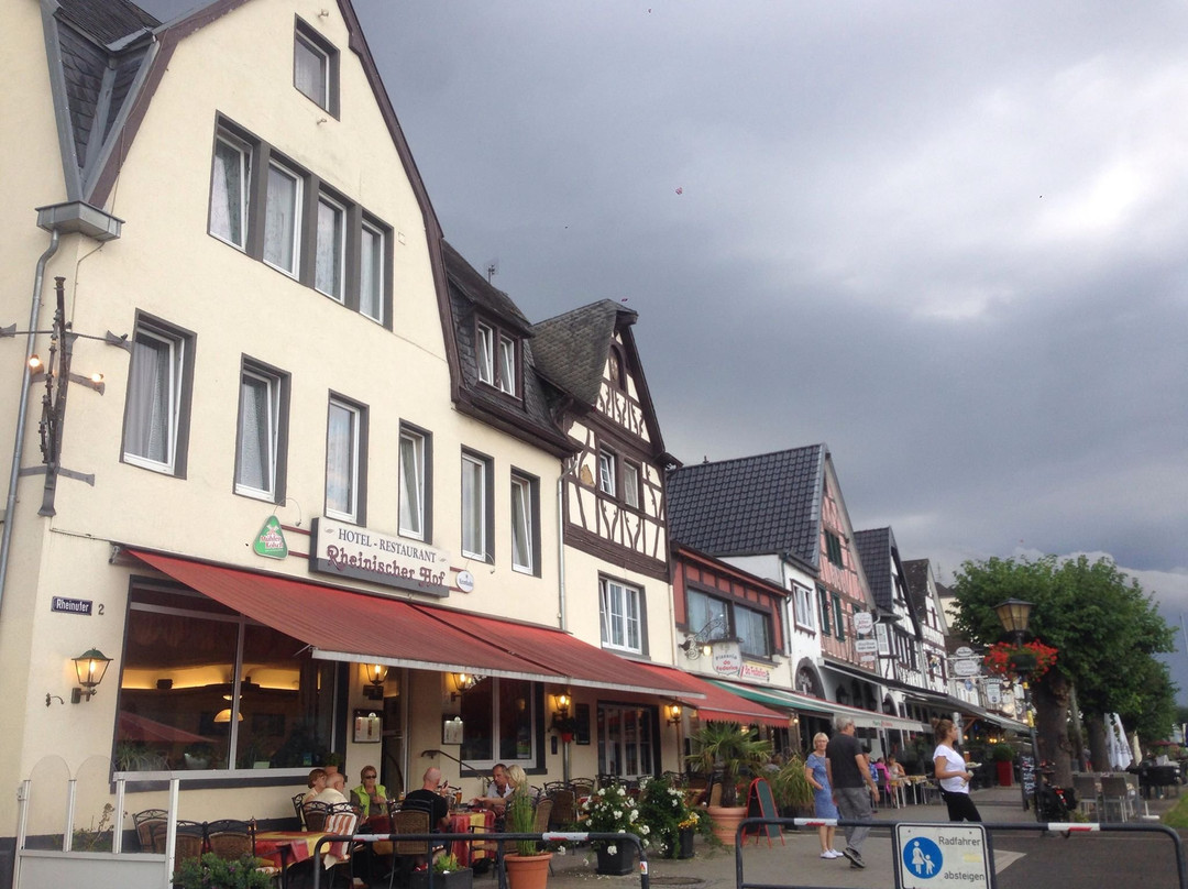 Hotel Rhein Residenz主图