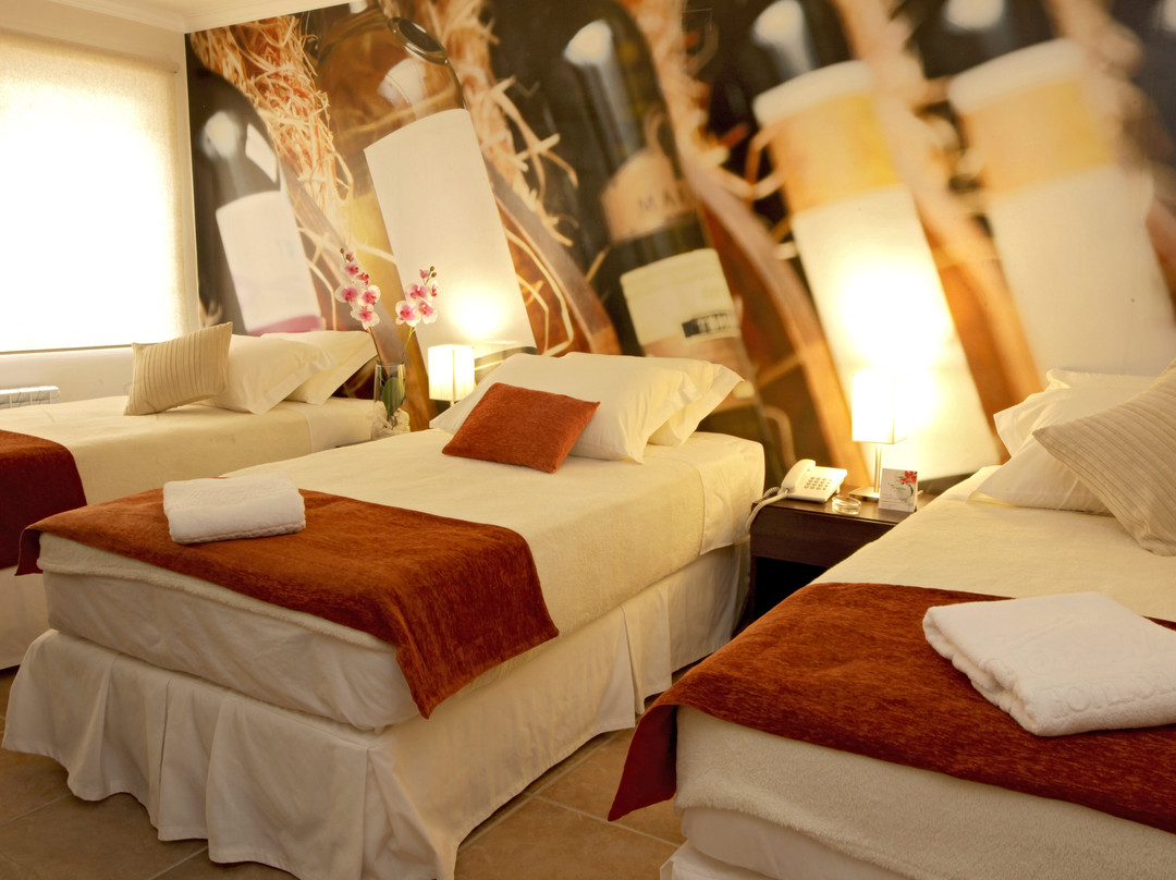 Terravina Hotel del Vino主图