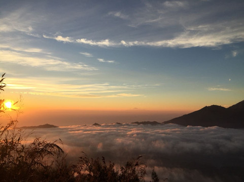 Bali Majesty Tour-登巴萨必去景点