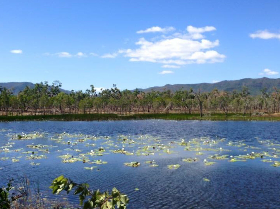 Cape Melville National Park景点图片
