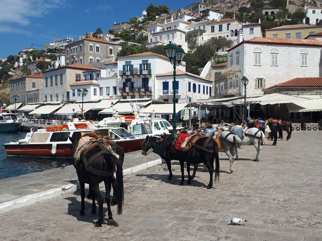 Athens Van Tours-雅典必去景点