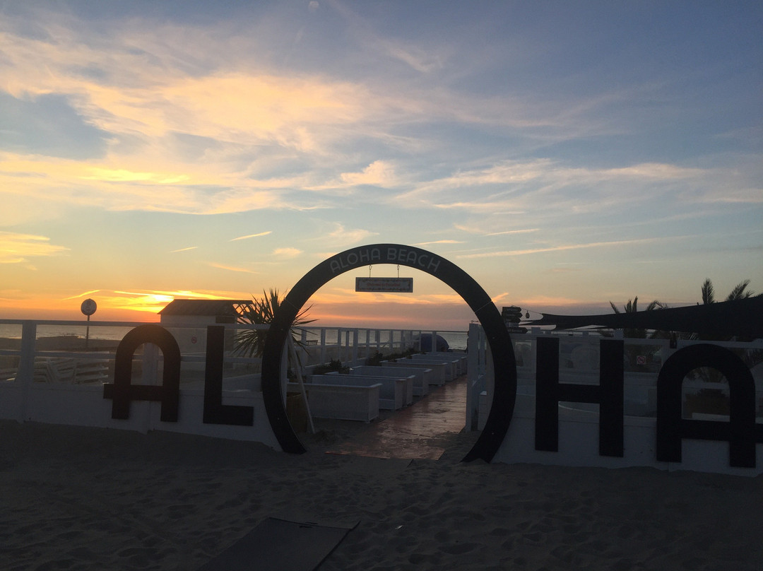 Aloha Beach-Koksijde Bad必去景点