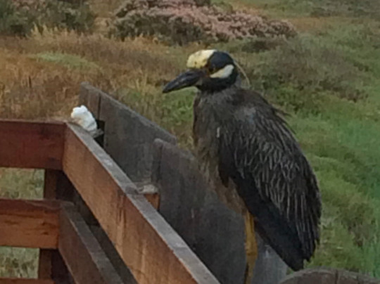 Tijuana River National Estuarine Research Reserve-Imperial Beach必去景点