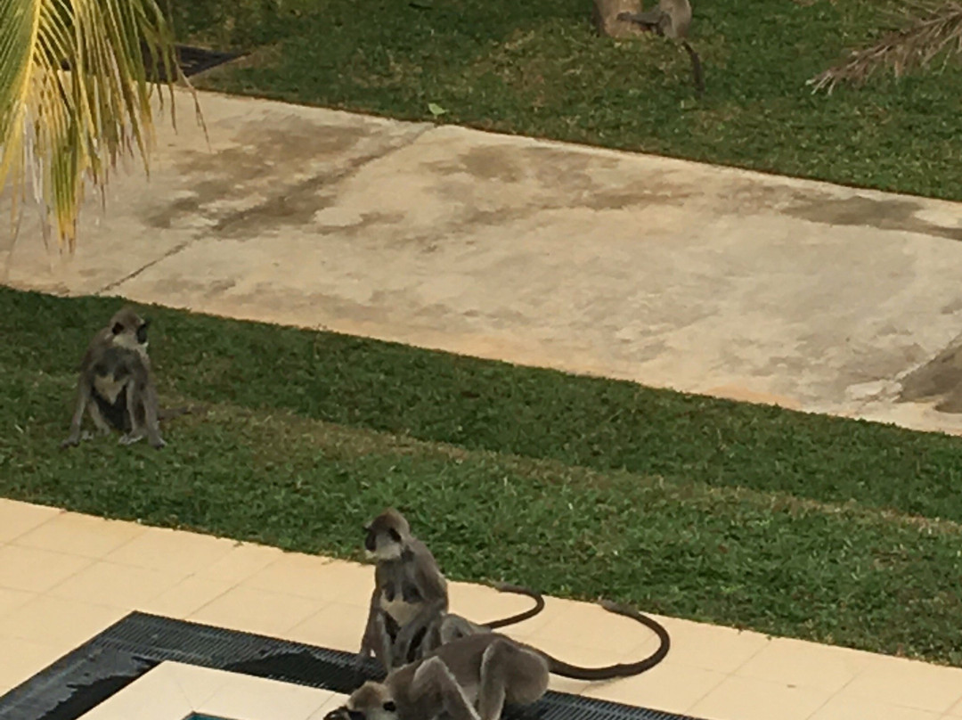 OYO 310 Sea Lagoon Beach Hotel主图