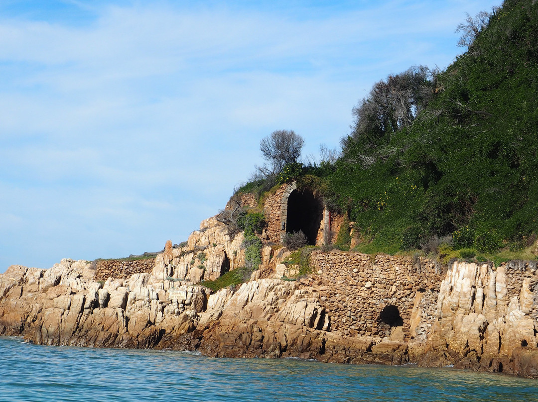 Knysna Charters-克尼斯纳必去景点