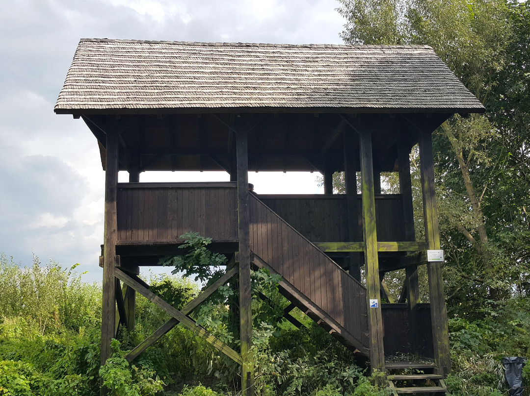 Narew National Park-Podlaskie Province必去景点