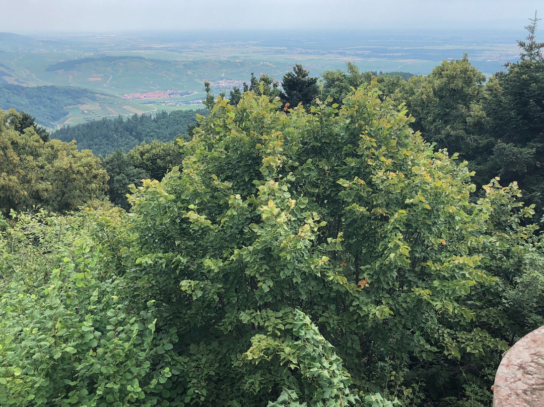 Le Monument du Galz-Trois-Epis必去景点