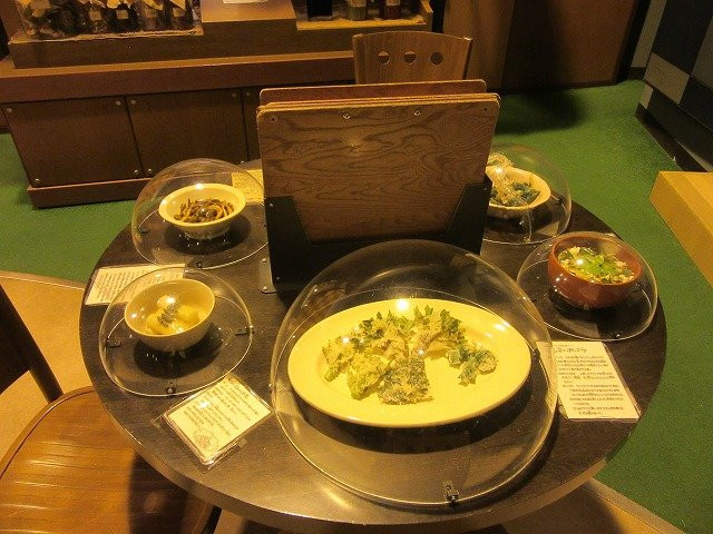 Ibaraki Mashroom Museum景点图片