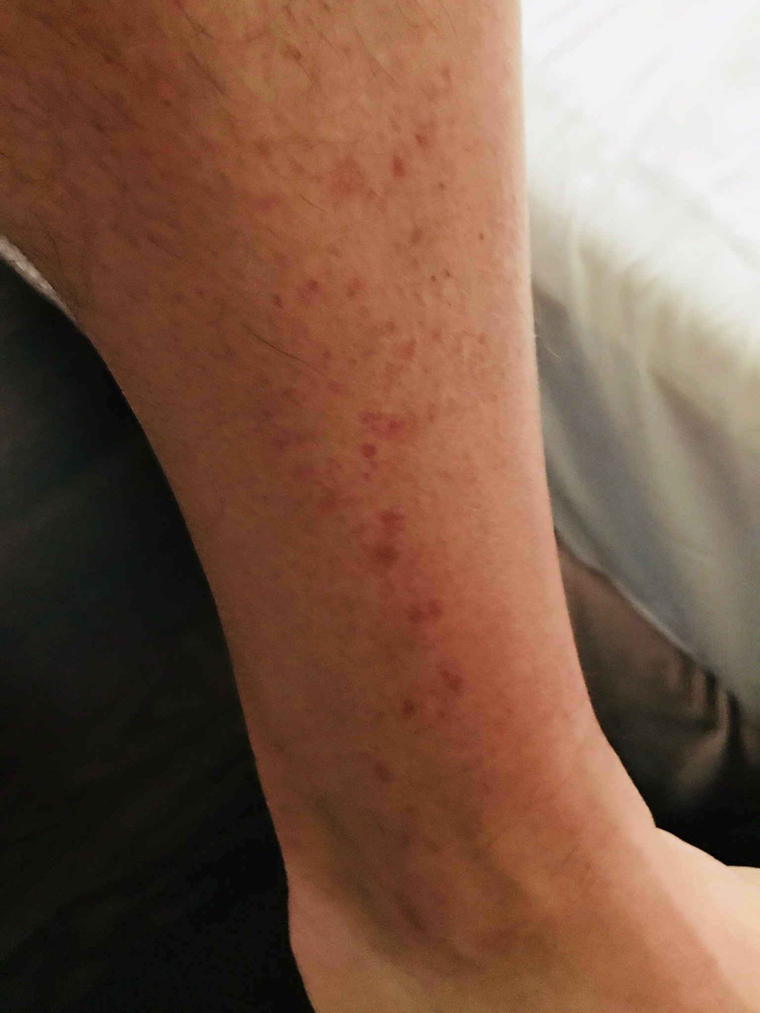 色温兹多红椅酒店-酒店景观